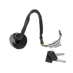 Deutsche Ignition Lock Kit for TVS Max-100 (4Wires)