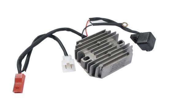 Deutsche REGULATOR for Bajaj Pulsar NS200 BS4 (2017 To 2019 Model)